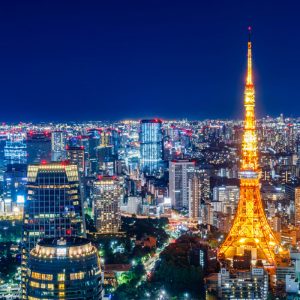 Customizable Private Tokyo Tour with an English-speaking Driver